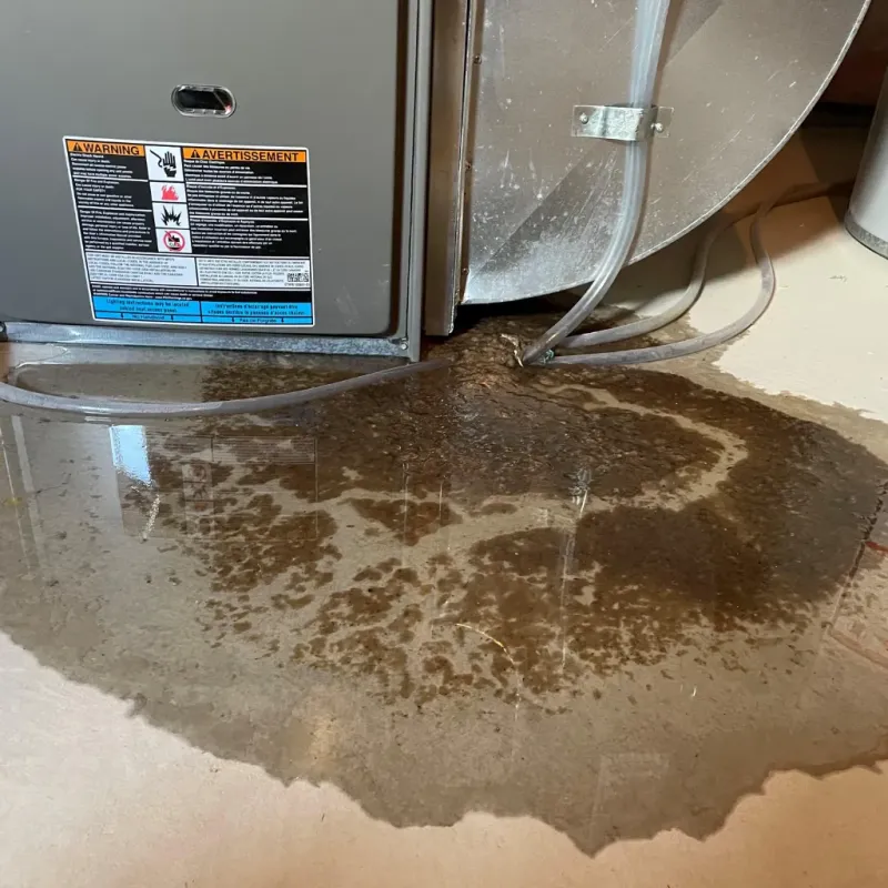 Appliance Leak Cleanup in Port Byron, NY